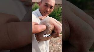 He Doesn’t Feel Any Pain #shorts #martialarts