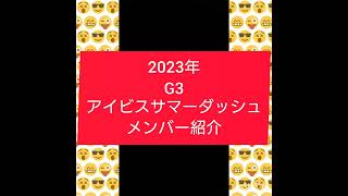 アイビスサマーダッシュ2023年