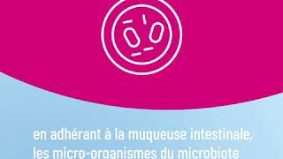 Le microbiote est-il la pièce maîtresse du système immunitaire ?