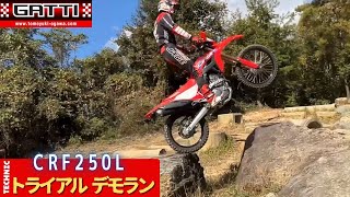 TRIAL Demonstration　CRF250L