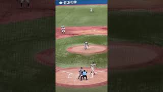 上武大学　河野椋斗　雄叫びのデッドボール　尾道高校出身　R4.6.11