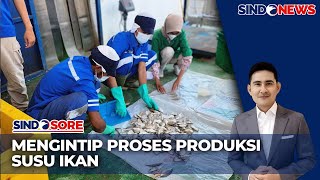 Intip Proses Pembuatan Susu dari Bahan Dasar Ikan di Indramayu - Sindo Sore 22/09