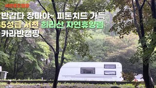 반갑다 장마야~ 5성급 카라반 캠핑 서천 희리산 자연휴양림/ 장맛비속 피톤치드 가득한 희리산자연휴양림 구석구석 들여다보기