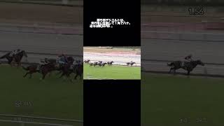 中日新聞杯GⅢ ♯競馬♯ウマ娘♯中京♯芝