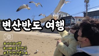 변산반도여행,갈매기 먹이체험(새우깡)