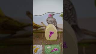 BOWER | BOARD GAME TUTORIAL