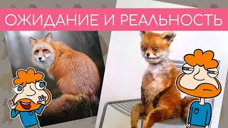 «Ожидание и реальность». Большой выпуск №17