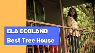 Ela Ecoland | Best Tree House in Munnar #elaecoland