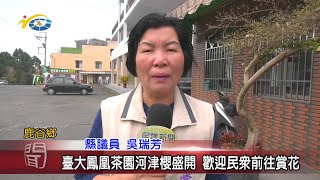 20210225 民議新聞 臺大鳳凰茶園河津櫻盛開 歡迎民眾前往賞花(縣議員 吳瑞芳)