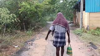 Relaxing walk in rain at Thuvariman/Madurai/TN/India Cow in rain