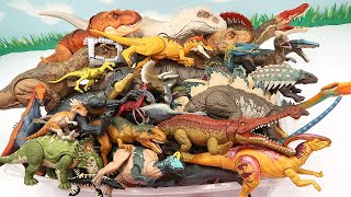 100 Dinosaur In Giant Box! Jurassic World Dinosaur T-Rex, Brachiosaurus, Spinosaurus 공룡 박스