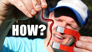 The Mystery of Magnetic Worms - Smarter Every Day 253