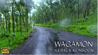 Heavy Munsoon Rain In Vagamon Kerala | Asmr Rain Sounds | Rainy Day Visuals