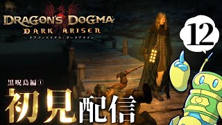 【ドラゴンズドグマ】2が来るまでに黒呪島クリアしたい初見配信：part12