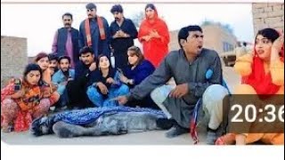 Ramzi,Noori,Bilo, jaati-Dholan Bhotna, Shokki,Snam,Flak sher,Funny -video-Rachnavi-Tv