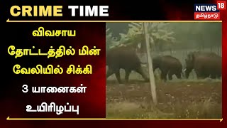 Crime Time | மின்வேலியில் சிக்கி 3 யானைகள் பலி - மின்வேலி அமைத்த விவசாயி கைது | Elephant