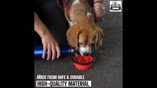 collapsible dog bowl