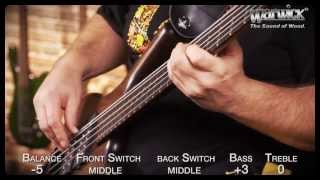 Warwick Sound Examples: The Corvette $$ NT 5-String - with Andy Irvine