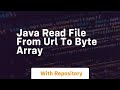 java read file from url to byte array