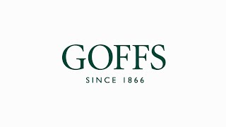 Goffs UK - Spring HIT/PTP Sale 2023 - Day 1