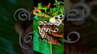 ഒരു കിടിലൻ അയല പൊരിച്ചത് | Kerala Style Fish Fry | Mackerel Fry | Special Ayala Fish Fry ||