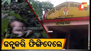 Newborn girl rescued from Hadagada forest in Dhenkanal