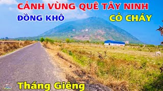 Khám Phá Cảnh Vùng Quê Huyện Dương Minh Châu Những Ngày Hết Tết