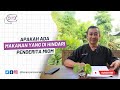 Ask Me - Tanya Dr. Yan | Apakah Ada Makanan yang Dihindari Penderita Miom?