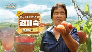 [208회] 자두 농장 운영으로 연 매출 1억 원! '경기 가평군 김재숙 부자농부'