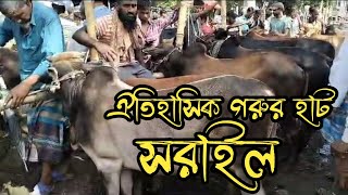 সরাইল উপজেলা ঐতিহাসিক গরুর হাট  Brahmanbaria sarail upazila Historic Sarail Cow Market Bangladesh