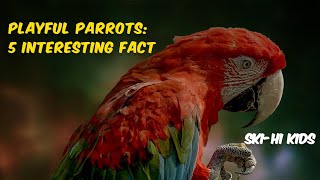 Parrots Unplucked: Unveiling the Feathered Fascinations - 5 Interesting Facts - SKI-HI Kids