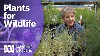 Choosing plants to create habitat for wildlife | Gardening for wildlife | Gardening Australia
