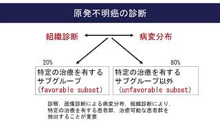 原発不明癌 野口瑛美　～主に医療者向け～ 【国立がん研究センター希少がんセンター】