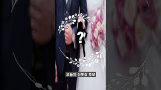 212번째 신붓감 후보 / 제로투