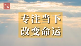 【禅心妙语】专注当下 改变命运