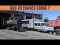 RGS 20 Chases a Goose!