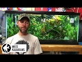 How to CYCLE your AQUARIUM: Nitrogen Cycle EXPLAINED