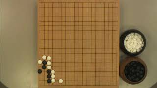 棋力提高班中级第10期 大猪嘴一 0839打劫 1211点刀把五