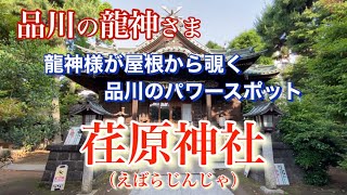 【荏原神社】龍神様パワースポット 東京都品川区