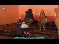 بیش از 70 کفتر زور نسل گیری و شوق برای فروش پیشکش خاص، فرصت محدود afghani precious u0026 unique pigeons