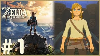 Zelda: Breath Of The Wild - Wake Up Link (1)