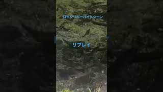 ロックリバーのバイトシーン