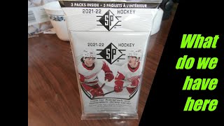 2021-22 Upper Deck SP HANGER 3 pack They any Good?