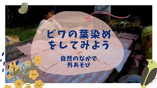 【自然のなかで外あそび】ビワの葉染めをしよう(2021.07.13)