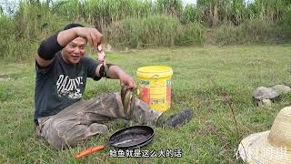 野炊：阿琪抓到的靓货，直接架锅开煮，这一锅看饿了 野炊