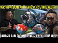 MAS KOKI DEMEKIN TERBESAR SE INDONESIA!!! RAHASIA DARI GROOMER YAKUZA SEKALIGUS JURI!!! RR GOLDFISH