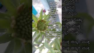 Mannalli biddonu kannada song #chinnarimutta#all #music #song #kannada