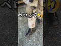 【bellebill】gore tex寒冷地仕様ブーツ サバゲー goretex レザーブーツ 福岡サバゲーランド