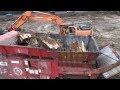 Morbark HT1684 Predator: Stump shredding.