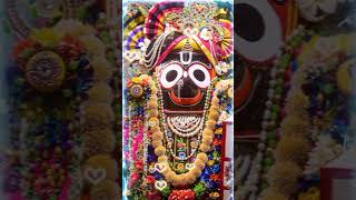 ସଖା ହେ ସଖା ରେ କେବେ ଏକୁଟିଆ ଦିଆ ଦେଖା odia jagannath status video💞🙏❤️jay jagannath 🙏🙏